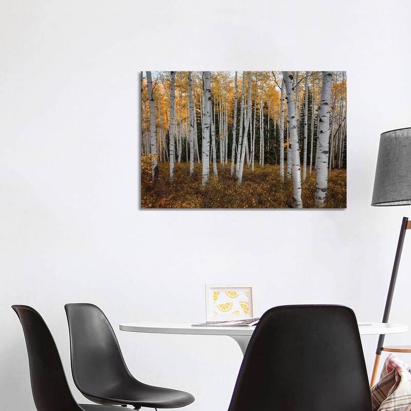 iCanvas "Aspen Forest In Autumn" by Bill Sherrell Canvas Print - 26x40x1.5