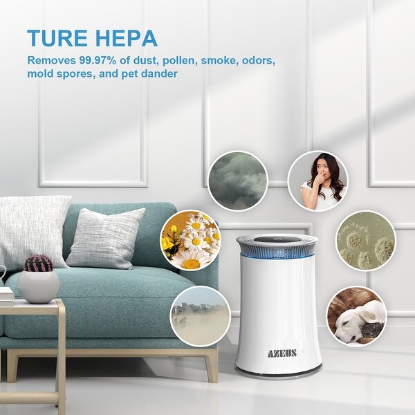 Highest cadr best sale air purifier