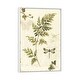preview thumbnail 2 of 7, iCanvas "Ivies and Ferns III" by Lisa Audit Framed Canvas Print White - 26x18