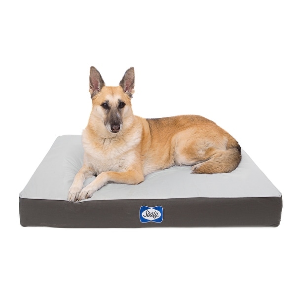 Sealy Dog Bed Defender Indoor/Outdoor Water Resistant Bed - Bed