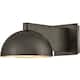 Option Black Oxide / Gold Leaf