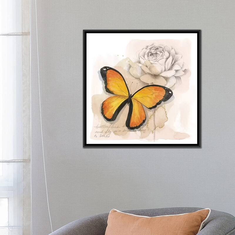 iCanvas "Shadow Box Butterfly IV" by Grace Popp Framed Canvas Print