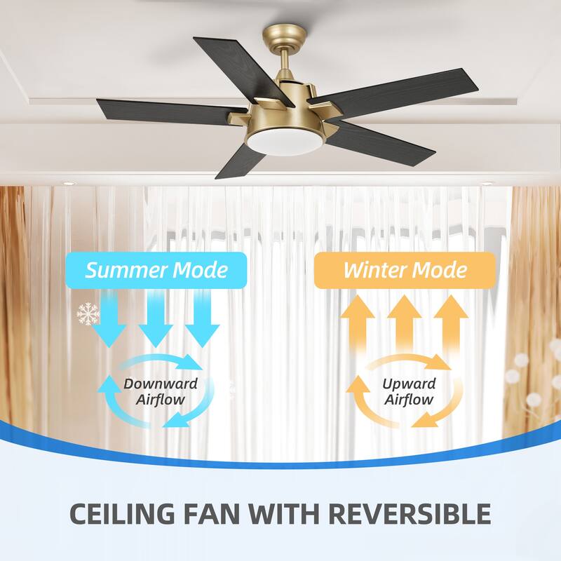 52 Inch Modern Ceiling Fan With Light And Wall Switch Remote