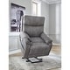 preview thumbnail 10 of 24, Signature Design by Ashley Next-Gen Durapella Power Lift Recliner