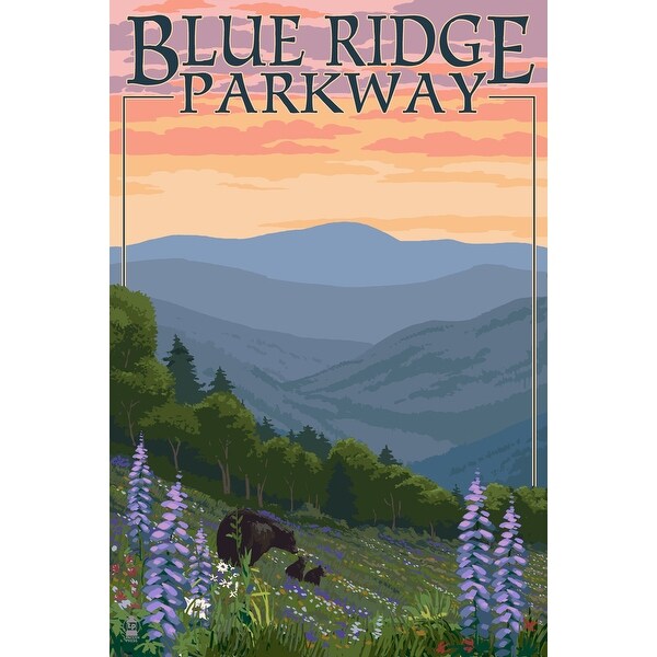 Blue Ridge Pkway VA Bears & Flowers LP Artwork (Acrylic Wall Clock)