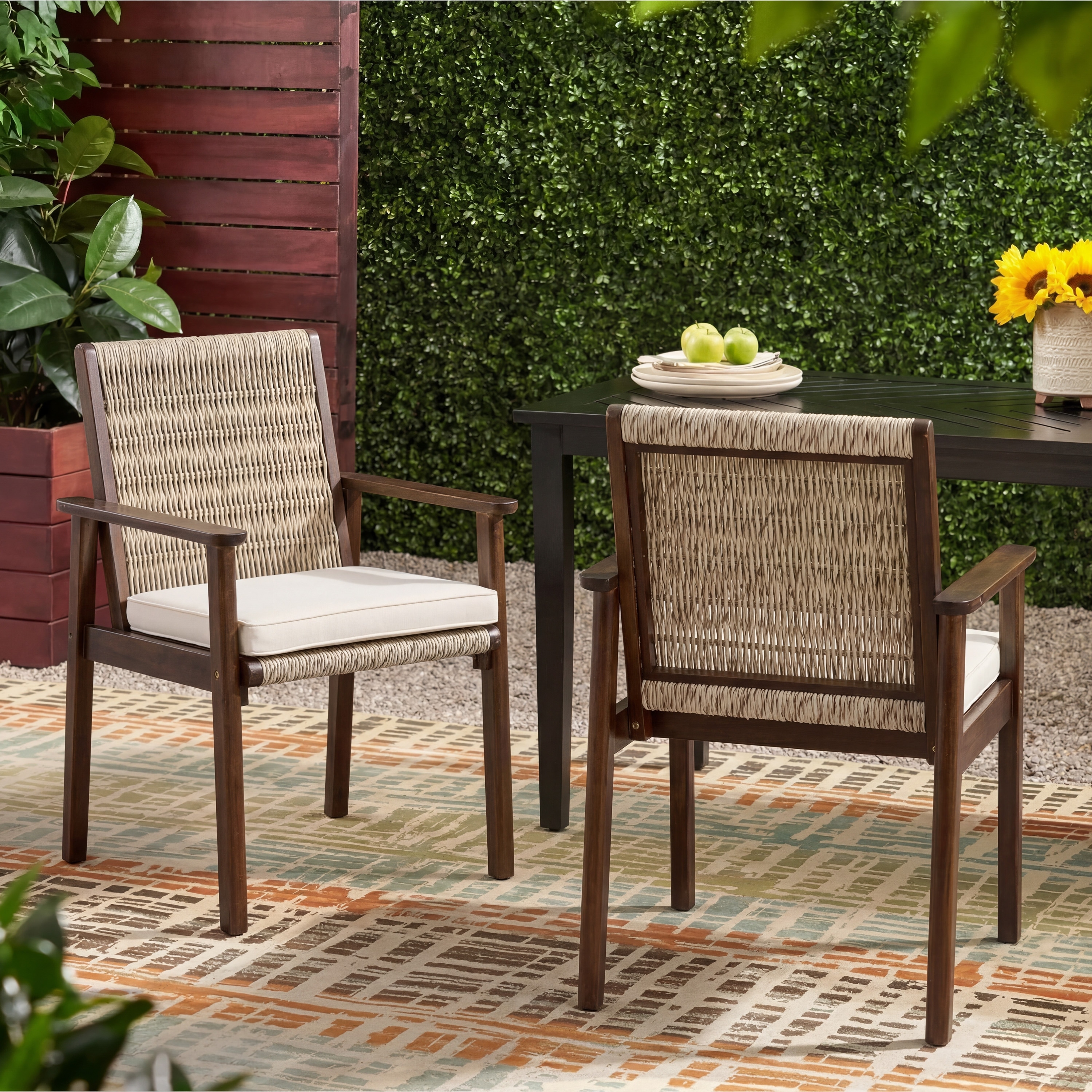 Outdoor Armchair Seating Side Chair Accent Chair Set of 2, Reading Chair Dining Chair Coffee Chair with Cushions