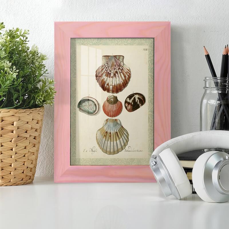 Bookplate Shells III -Framed Print w/glass-Cherry Red