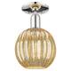 Option Polished Nickel
