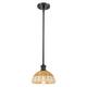 Option Oil Rubbed Bronze