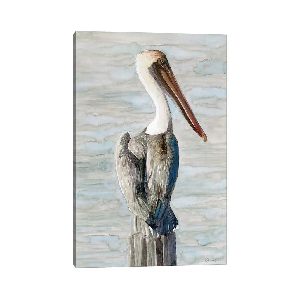 iCanvas "Brown Pelican I" by Stellar Design Studio Canvas Print