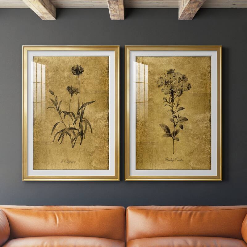 Gold Sketch Botanical I Premium Framed Print - Ready to Hang