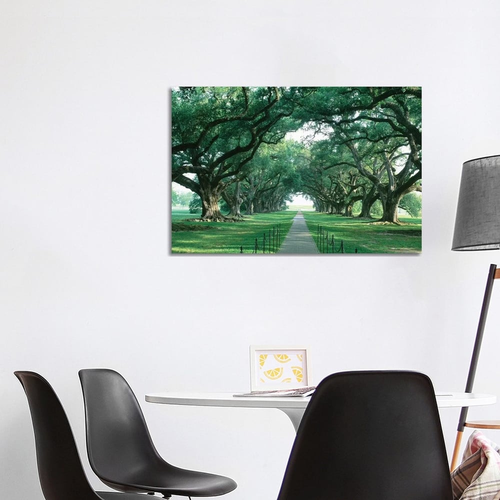 iCanvas "Brick Path Through Alley Of Oak Trees, Louisiana, New Orleans, USA" by Panoramic Images Canvas Print