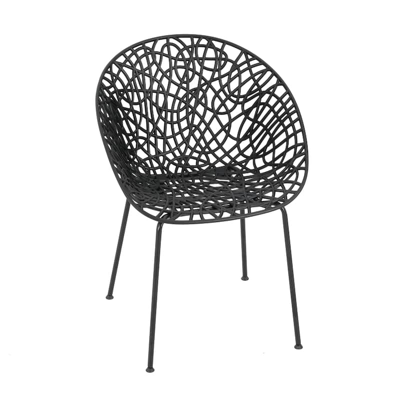 Black Dining Chairs Leisure Chair Reading Chair Accent Chair Set of 2, Reception Chair Side Chair with Iron Frame