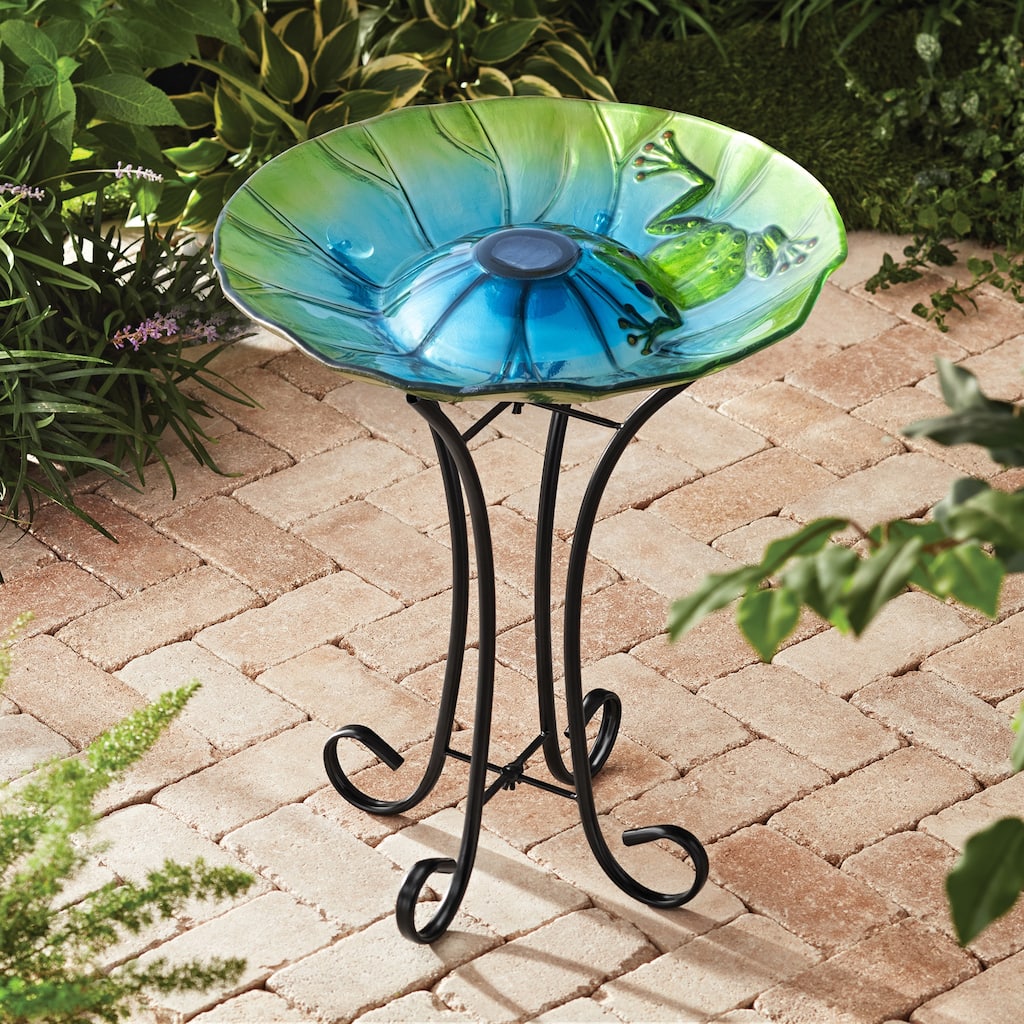 Hi-Line Solar Frog Bird Bath