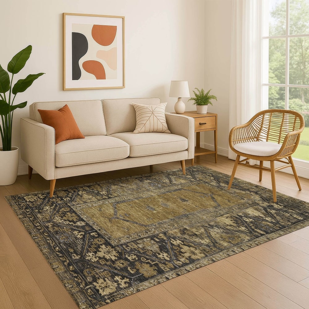 Premium Washable Super Soft Traditional Global Mayfield Rug