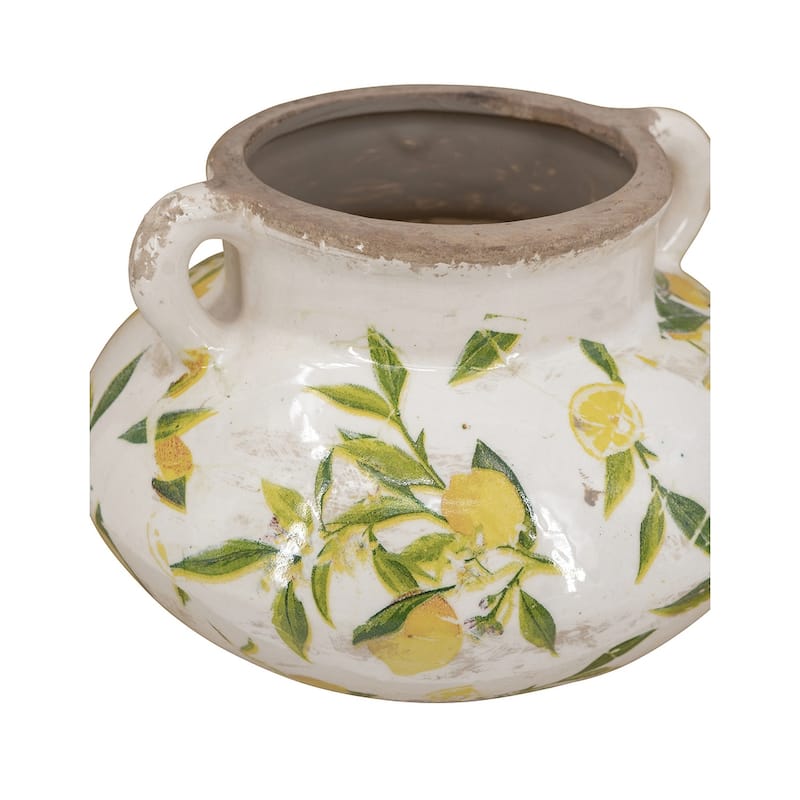 Indoor Round Ceramic Lemon Planter Pot for Succulents, Trailing Plants