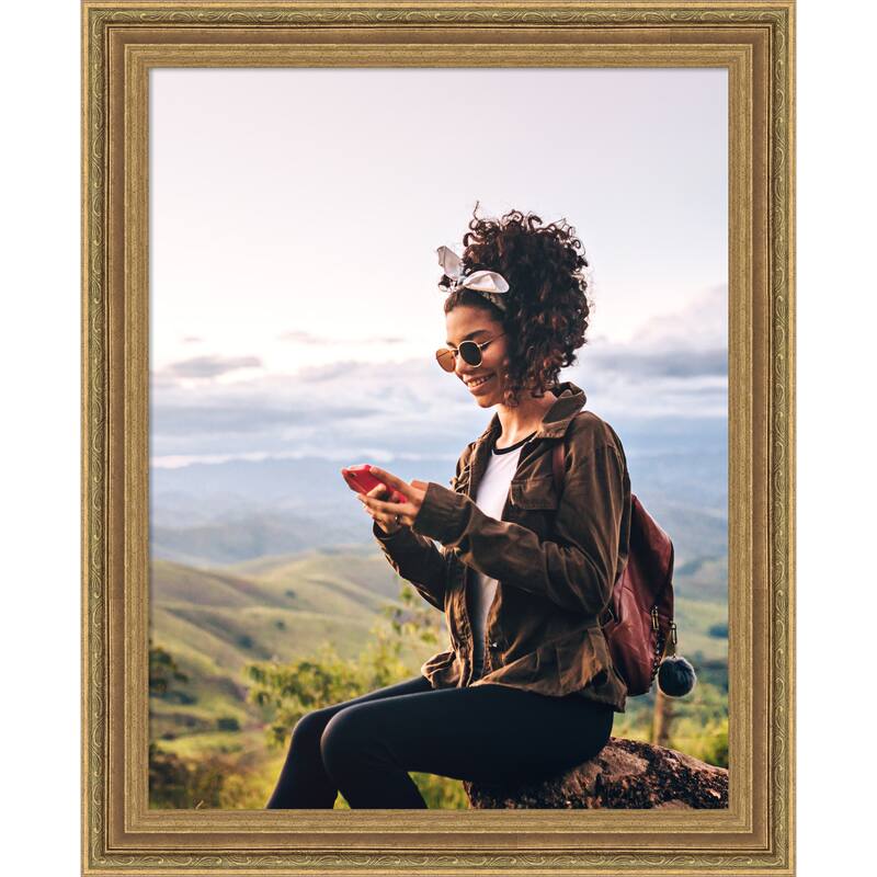 Elliot Gold Picture Frame, Photo Frame - 22x28