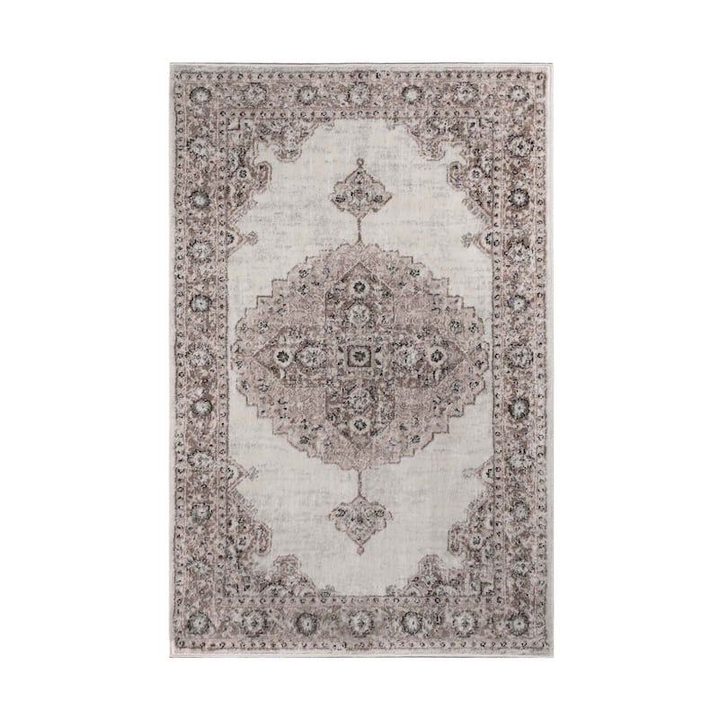 Superior Demelza Traditional Oriental Medallion Indoor Runner or Area Rug