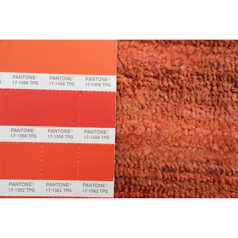 Hand Knotted Oriental Viscose Silk Carpet Tribal Animal Pictorial Oranges & Rust Gabbeh Area Rug - 11' 6'' X 8' 8''