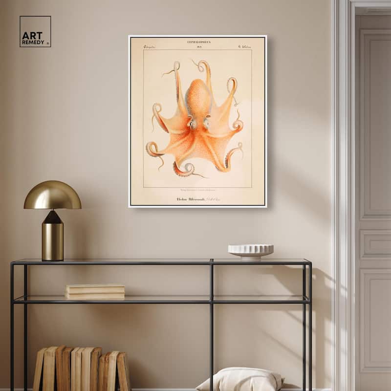 Verany The Octopus 1815 II Canvas by Art Remedy