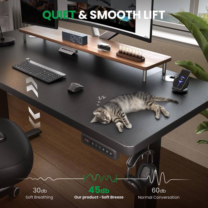 SIAGO 48 x 24 Inch Computer Desk Height Adjustable Electric Sit Stand Up Desk