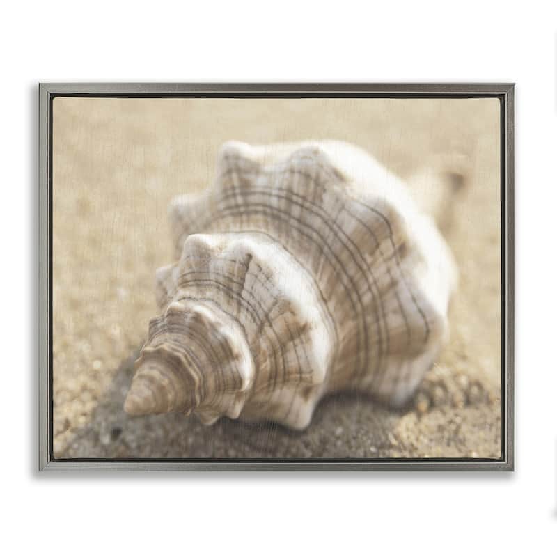 Stupell Neutral Tone Conch Shell Framed Floater Canvas Wall Art Design By Dora Rotondella - 31 x 25 - Grey