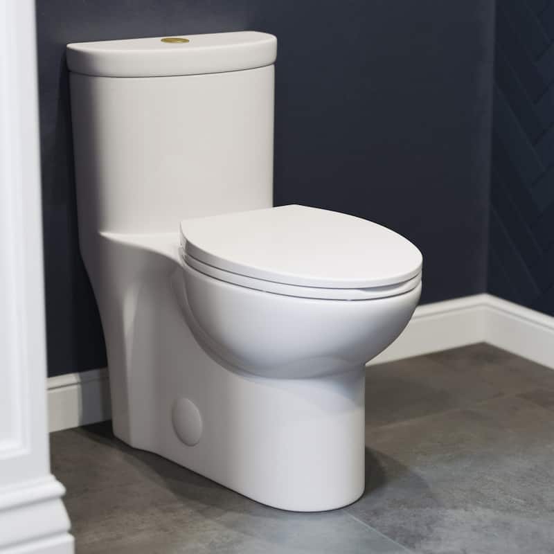 Besanon One Piece Elongated Toilet Dual Flush, Brushed Gold Hardware 1.1/1.6 Gpf - 27.75" x 15.55" 28.4"