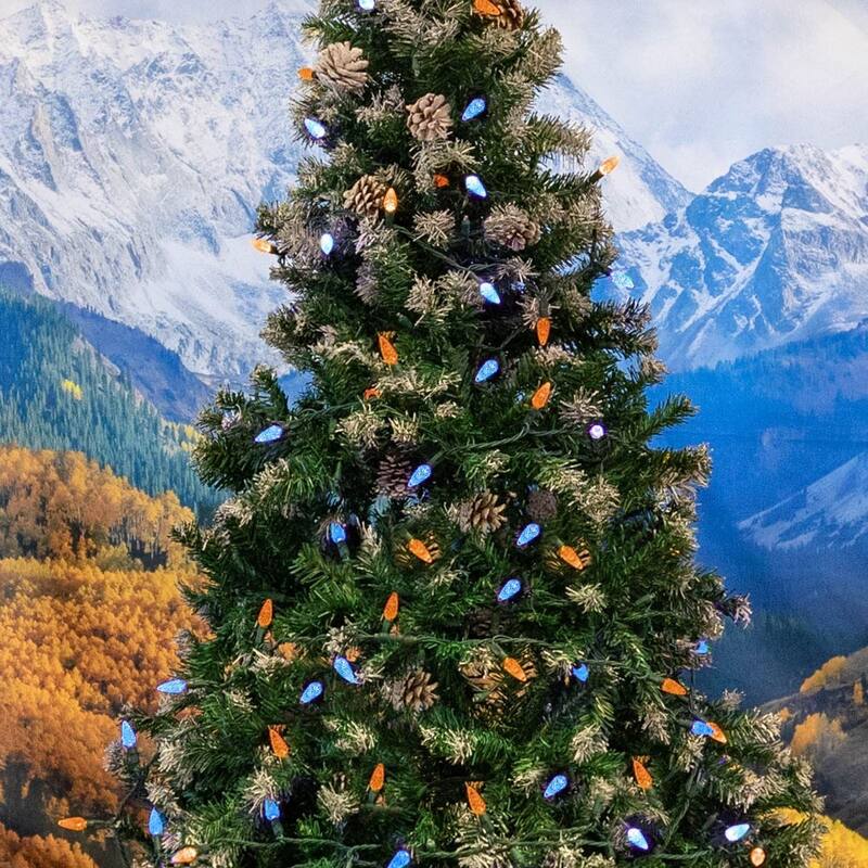 70 Light C6 LED Christmas Mini Light Set, Blue/Orange, Green Wire, 24 Feet - Large