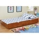 preview thumbnail 18 of 17, Bays Transitional Twin Wood Underbed Trundle with Casters by Furniture of America Oak