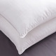 preview thumbnail 2 of 3, Plush Perfect Down-Alternative Pillow Set of 2 by Cozy Classics - White