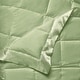 preview thumbnail 14 of 25, Solid Colored Microfiber Down Alternative Blanket Full - Queen - Sage
