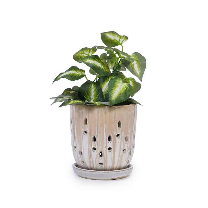 Handmade Planter, Ventilated Design, Saucers for Succulents and Herbs