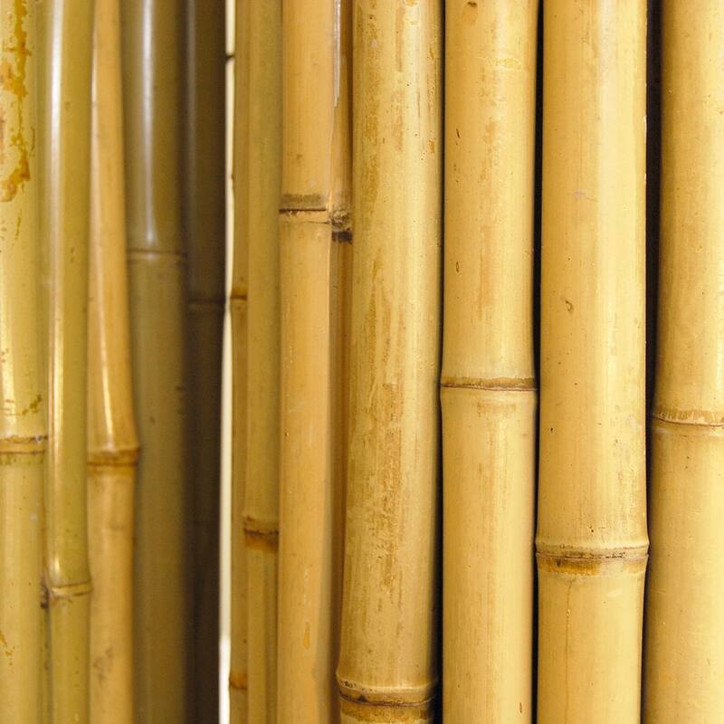 Natural Bamboo Fencing Rolled Fence Panel Patio Privacy Screen