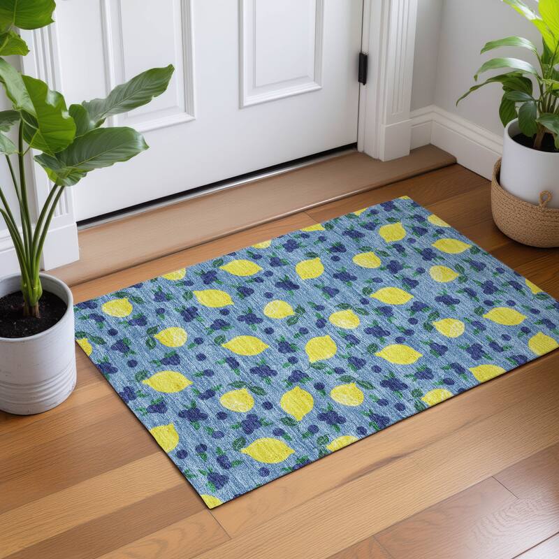 Machine Washable Indoor/ Outdoor Citrus Berry Chantille Rug