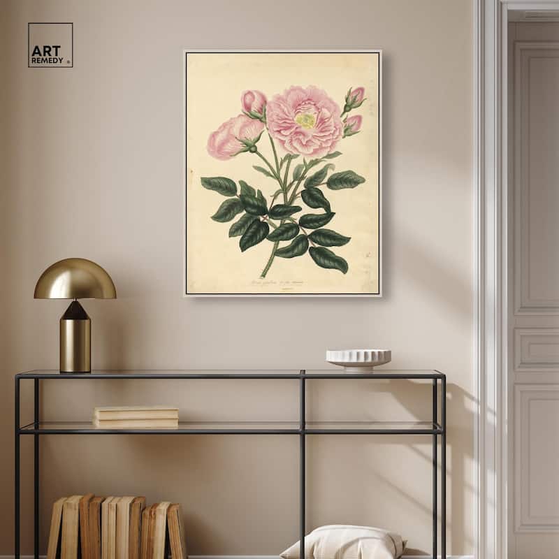 French Rose Canvas by Art Remedy