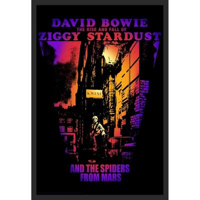 Bd Collection - Ziggy Stardust Cover David Bowie Framed Art Poster - 24 x 36 Inch