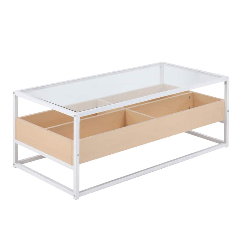 Display Coffee Table with Storage