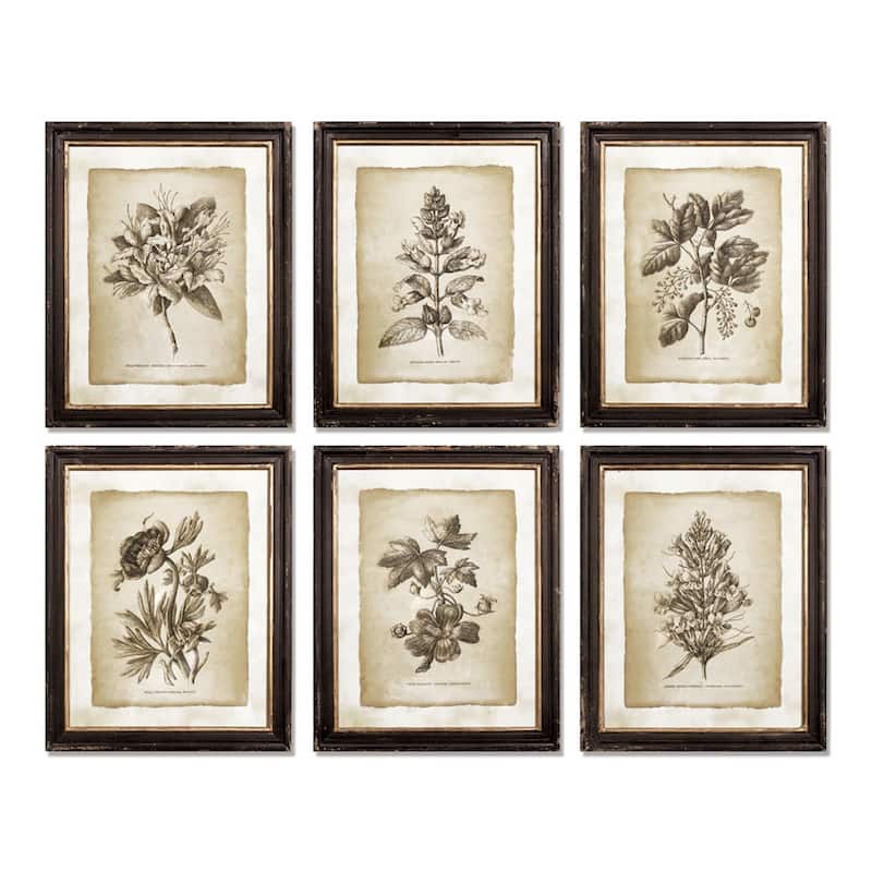 Framed Vintage Floral Prints, Set Of 6