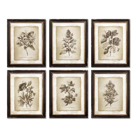 Framed Vintage Floral Prints, Set Of 6