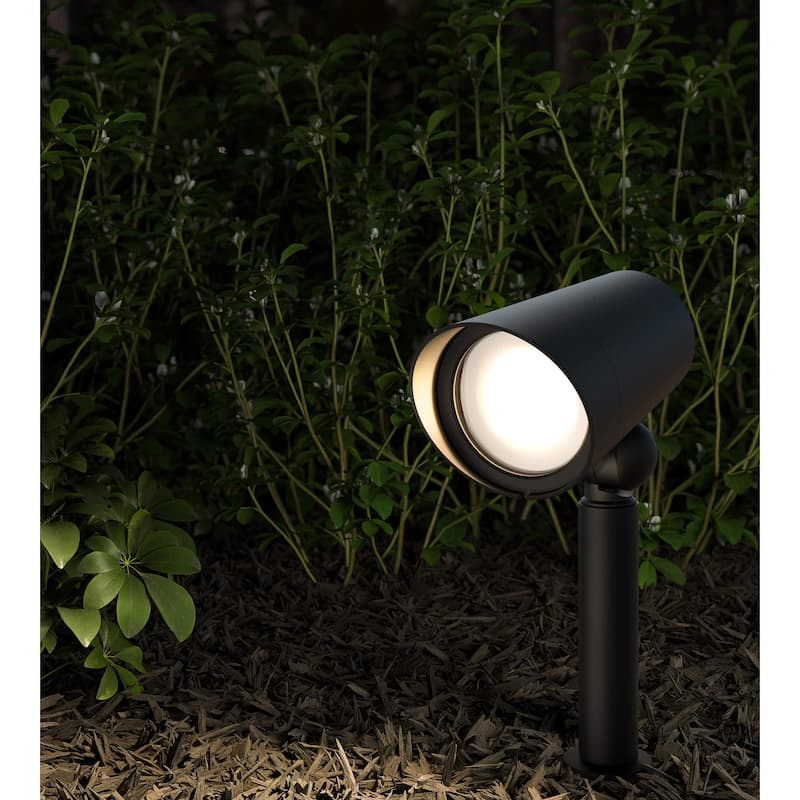 Spot CCT Landscape Spotlight