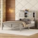 Option Antique Gray