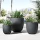 Outdoor Decor