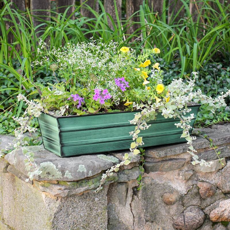 Achla Designs 22" W Galvanized Steel Bloom Box Garden Growing Kit