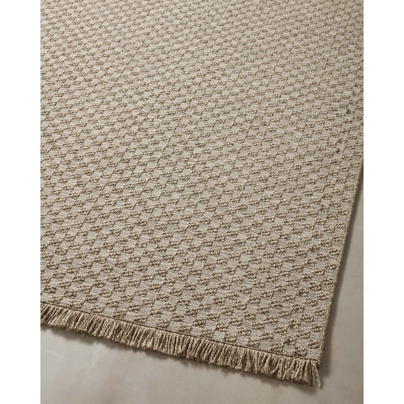 Alexander Home Dana Indoor / Outdoor Transitional Area Rug