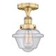 Option Brushed Brass / Seedy
