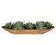 preview thumbnail 1 of 3, Uttermost Yuma Succulent Centerpiece - 27"W x 8"H x 11"D