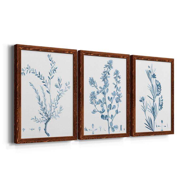 Antique Botanical in Blue VII-Premium Framed Canvas - Ready to Hang - Multi-Color