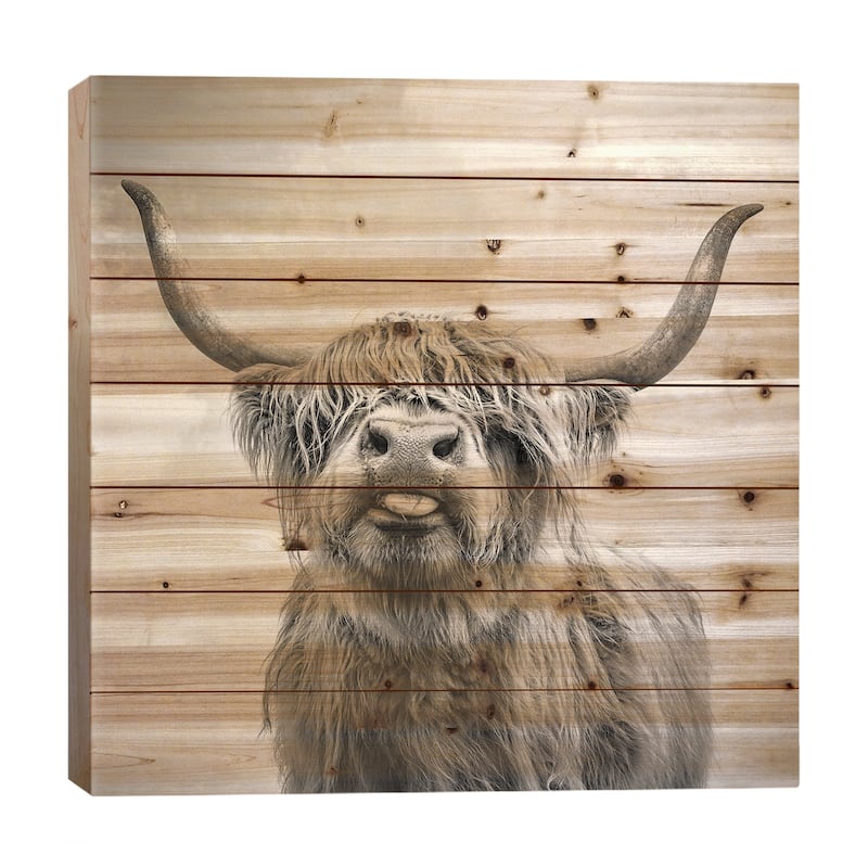 Funny Girl Print On Wood by Mark Gemmell - Multi-Color - 26x26x1.5