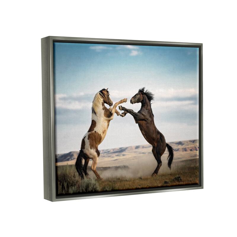 Stupell Fighting Horses Photography Framed Floater Canvas Wall Art Design by PBurchettePhoto