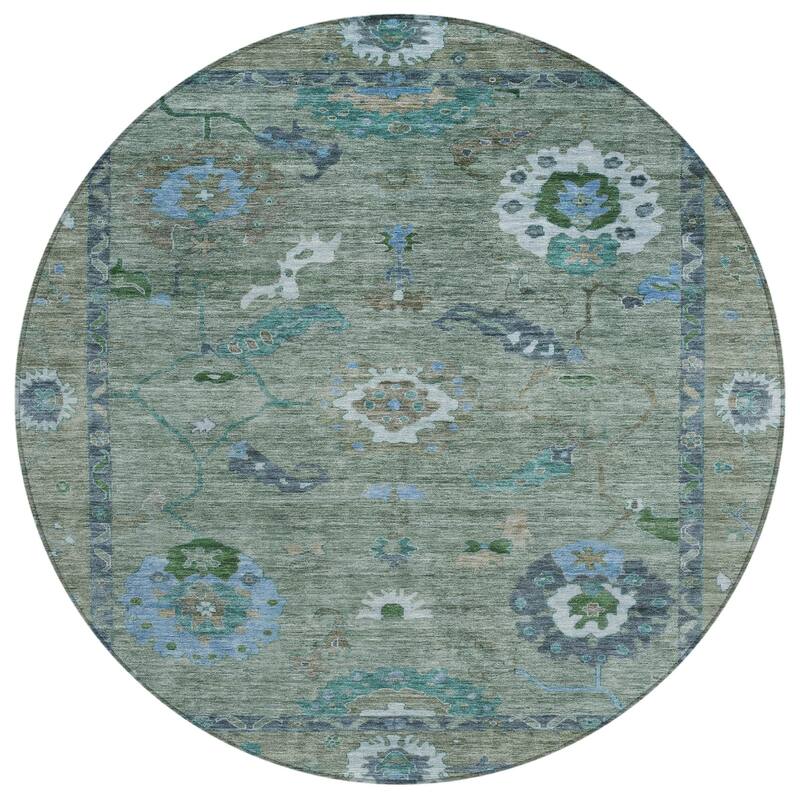 Machine Washable Indoor/ Outdoor Traditional Boho Chantille Rug